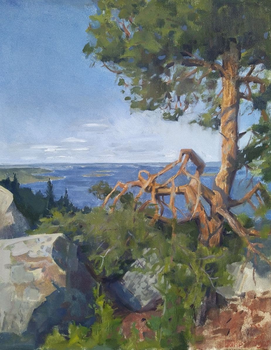 Image koli